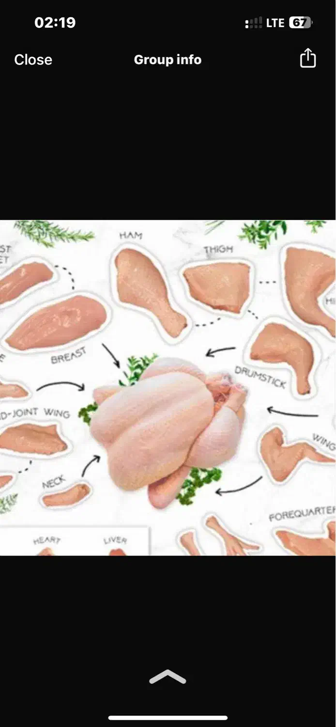 کارگر حرفه ای قصابی|استخدام خدمات فروشگاه و رستوران|تهران, افسریه جنوبی|دیوار