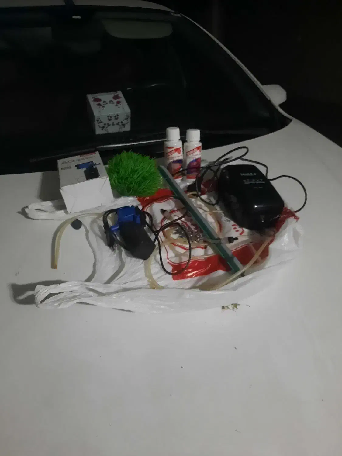 آکواریوم و  وسایل|لوازم جانبی حیوانات|ری, دولت‌آباد|دیوار