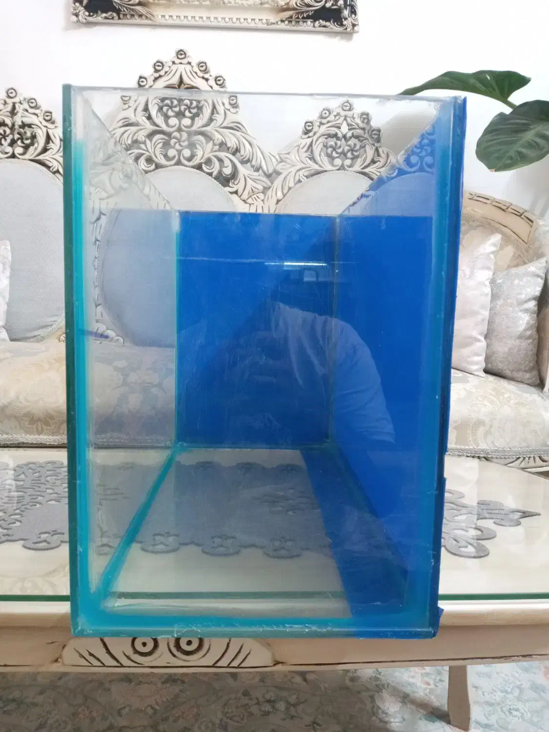 اکواریوم|ماهی|تهران, مسعودیه|دیوار