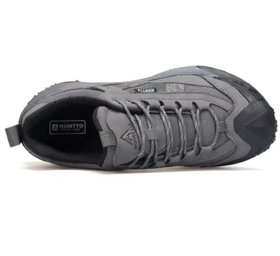 کتانی هامتو آک|کیف، کفش، کمربند|قم, بنیاد|دیوار