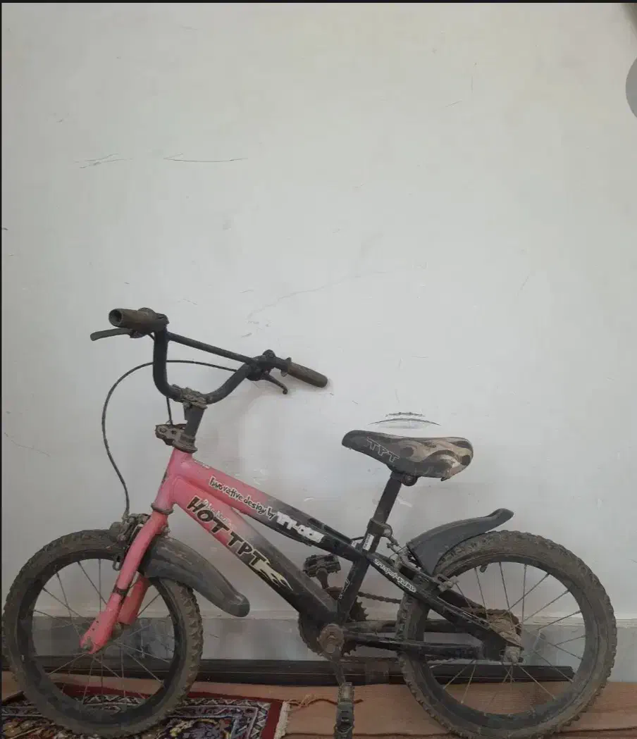 دو تا دو چرخه|دوچرخه، اسکیت، اسکوتر|قم, باجک سه|دیوار