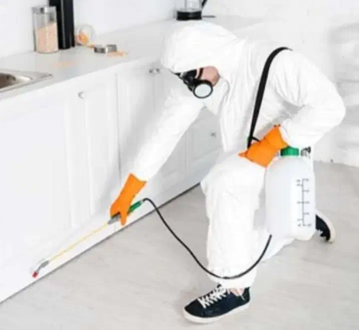 خدمات سم پاشی|خدمات نظافت|گلبهار, شهر جدید گلبهار|دیوار