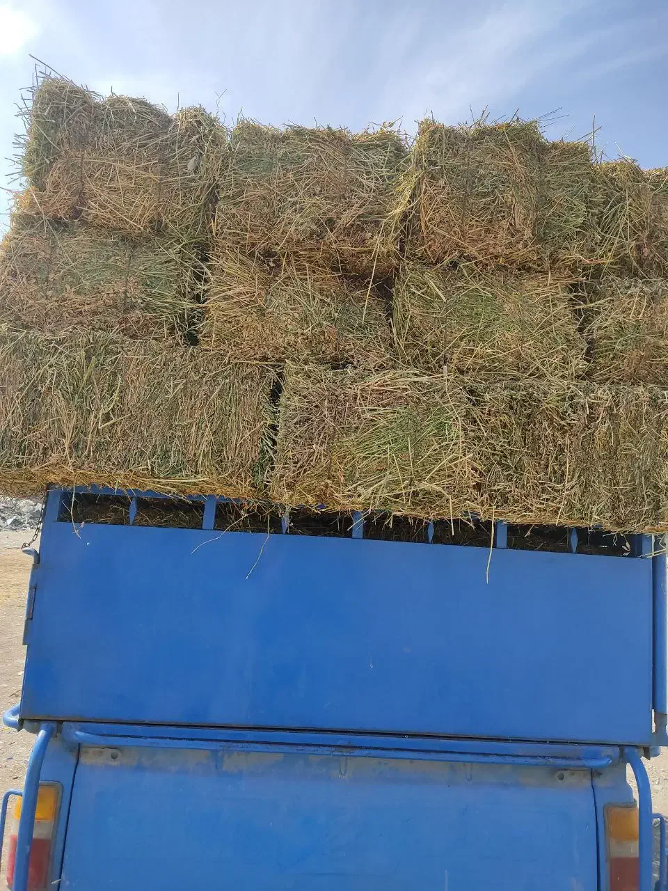 یونجه|عمدهفروشی|کرج, خرمدشت|دیوار