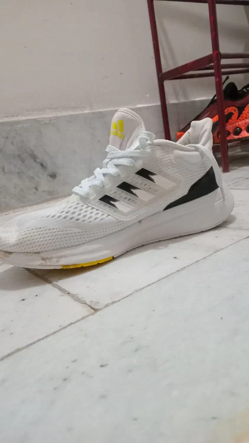 کفش آدیداس اصلی|کیف، کفش، کمربند|مشهد, حضرت حجت|دیوار