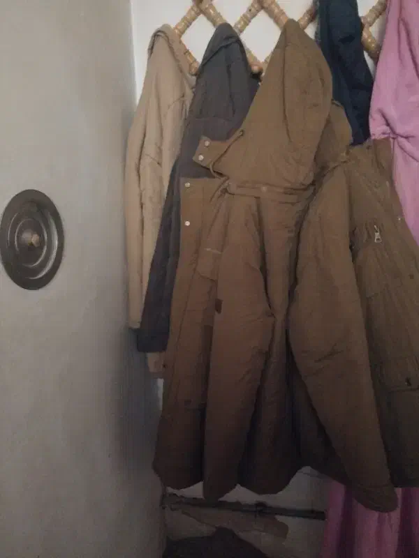 یک عدد کاپشن|لباس|آذرشهر, |دیوار