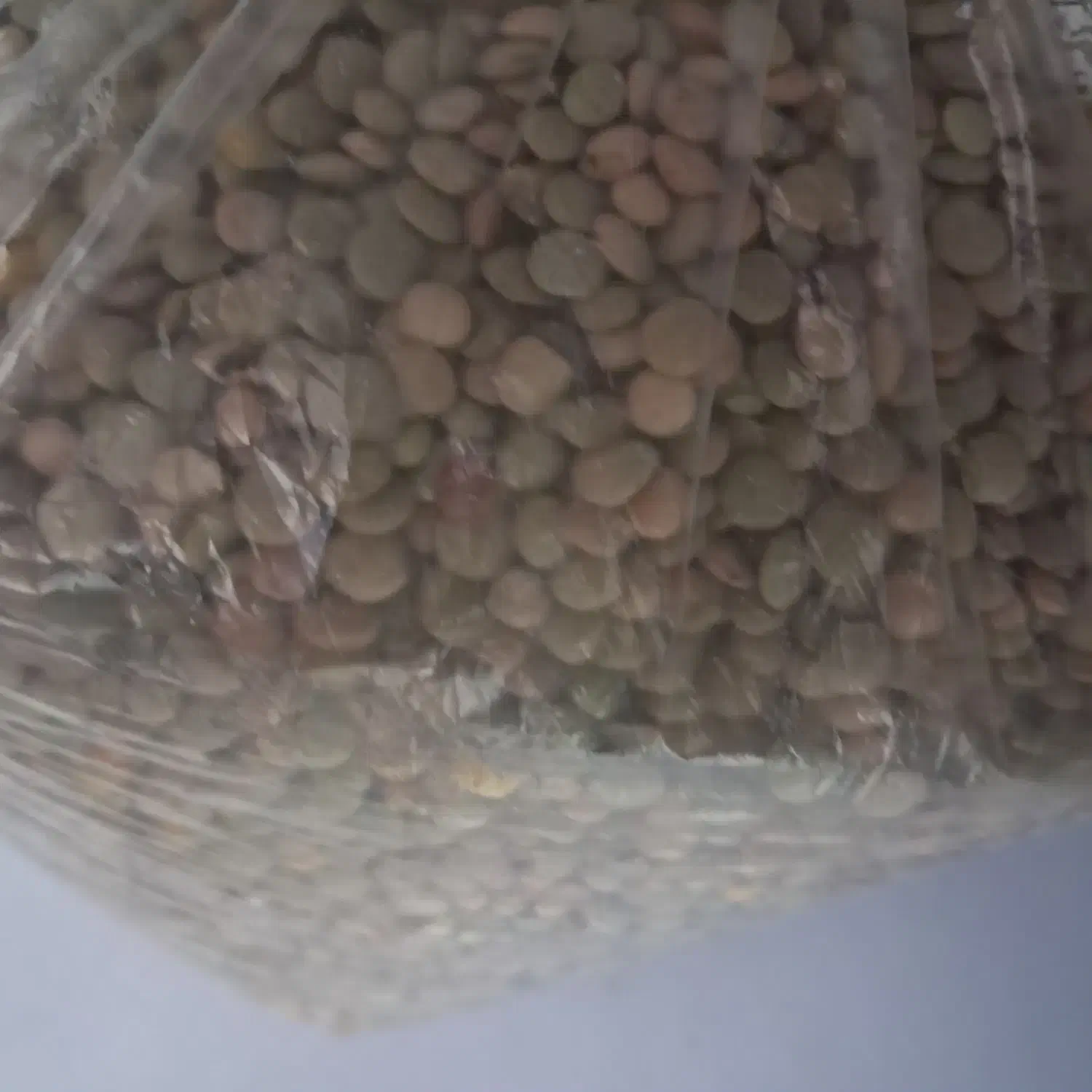 عدس محلی|عمده‌فروشی|الوند, |دیوار