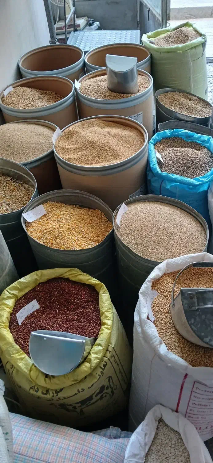 گندم ارزن|لوازم جانبی حیوانات|مشهد, رضاییه|دیوار