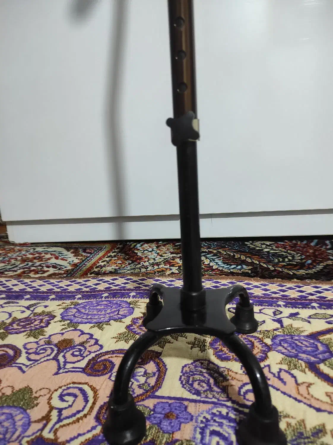 واکرپزشکی|پزشکی|سقز, |دیوار