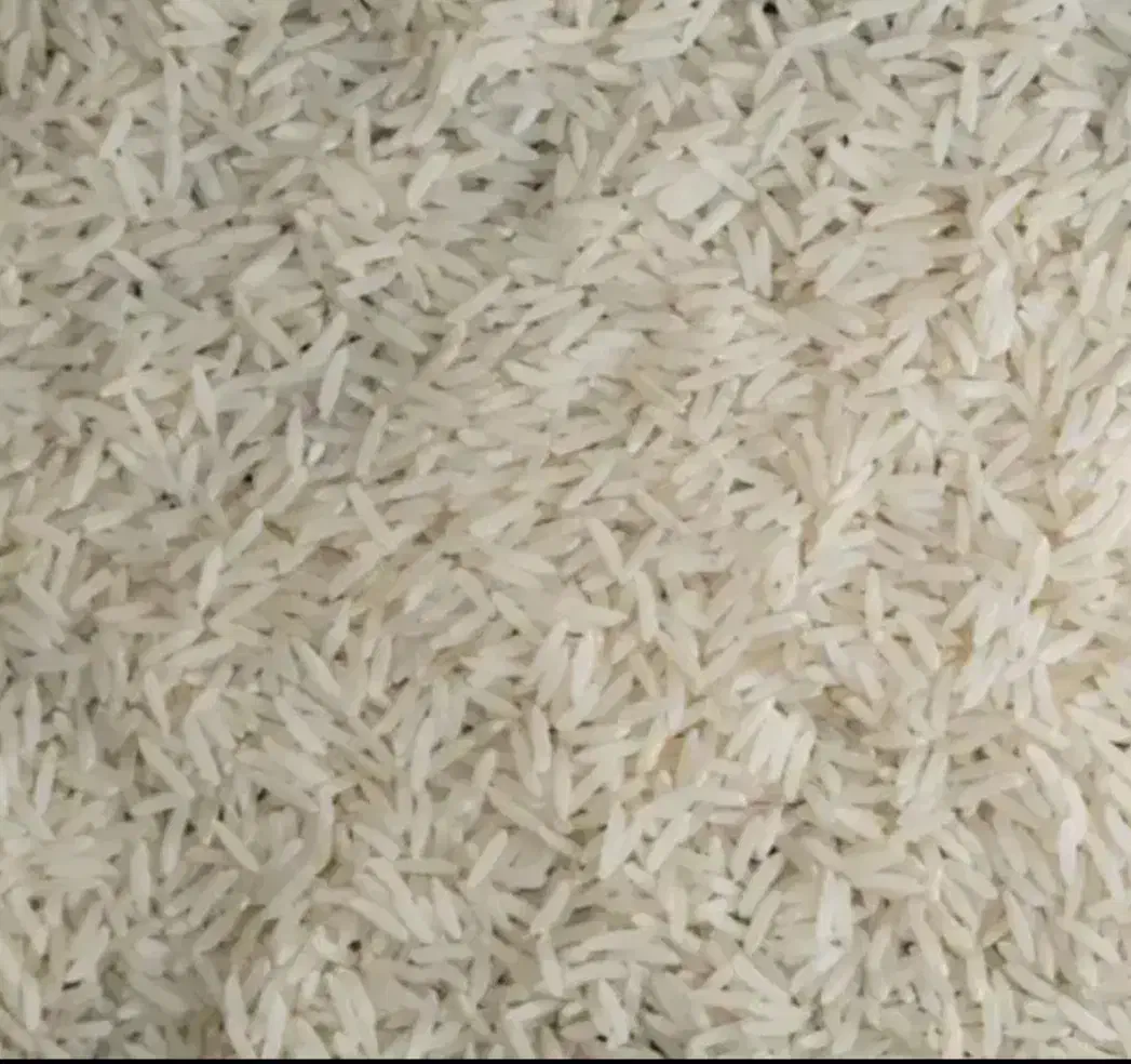 برنج طارم هاشمی|خوردنی و آشامیدنی|قائمشهر, |دیوار