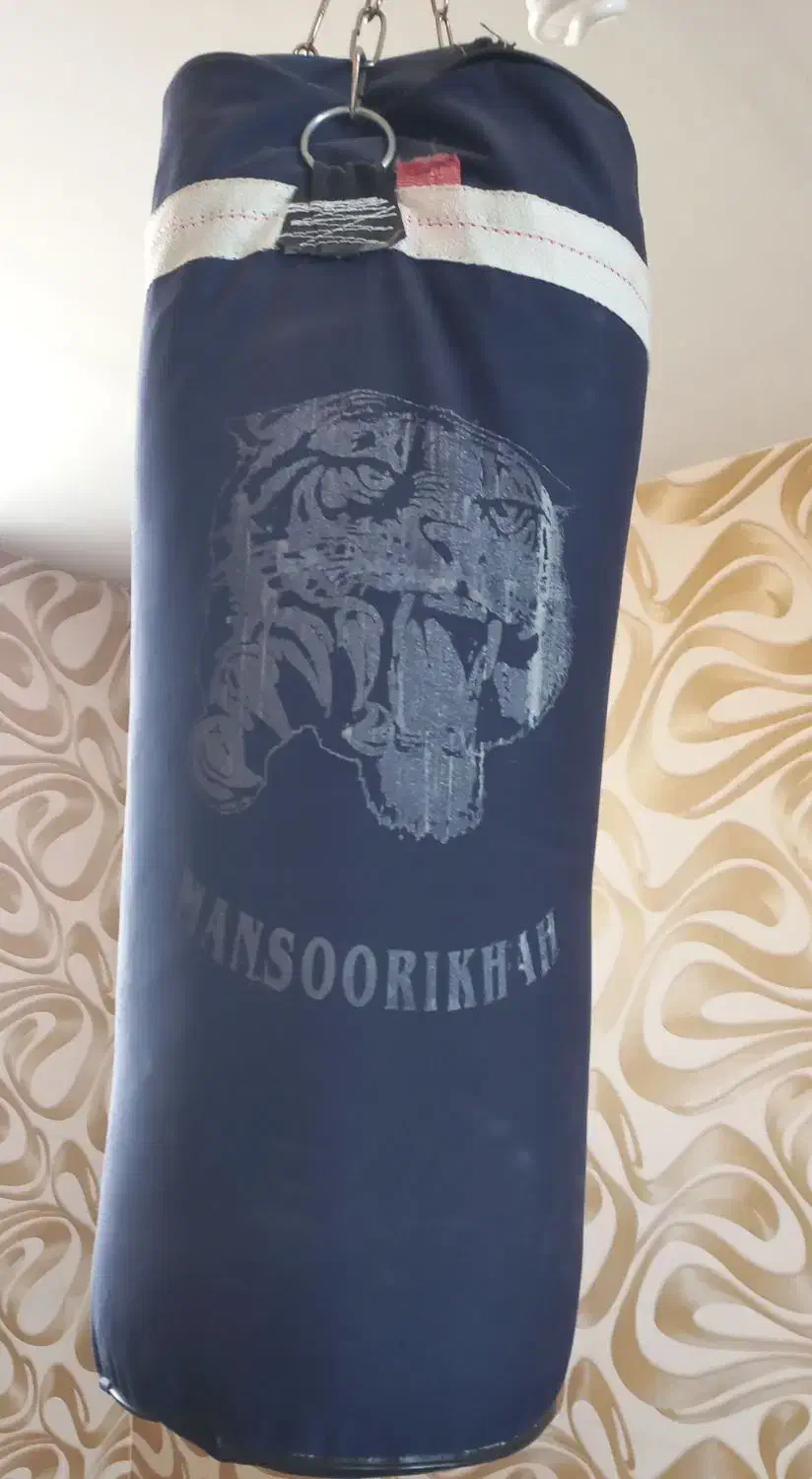 کیسه بوکس برزنتی و دستکش چرم|تجهیزات ورزشی|اصفهان, خواجه عمید|دیوار