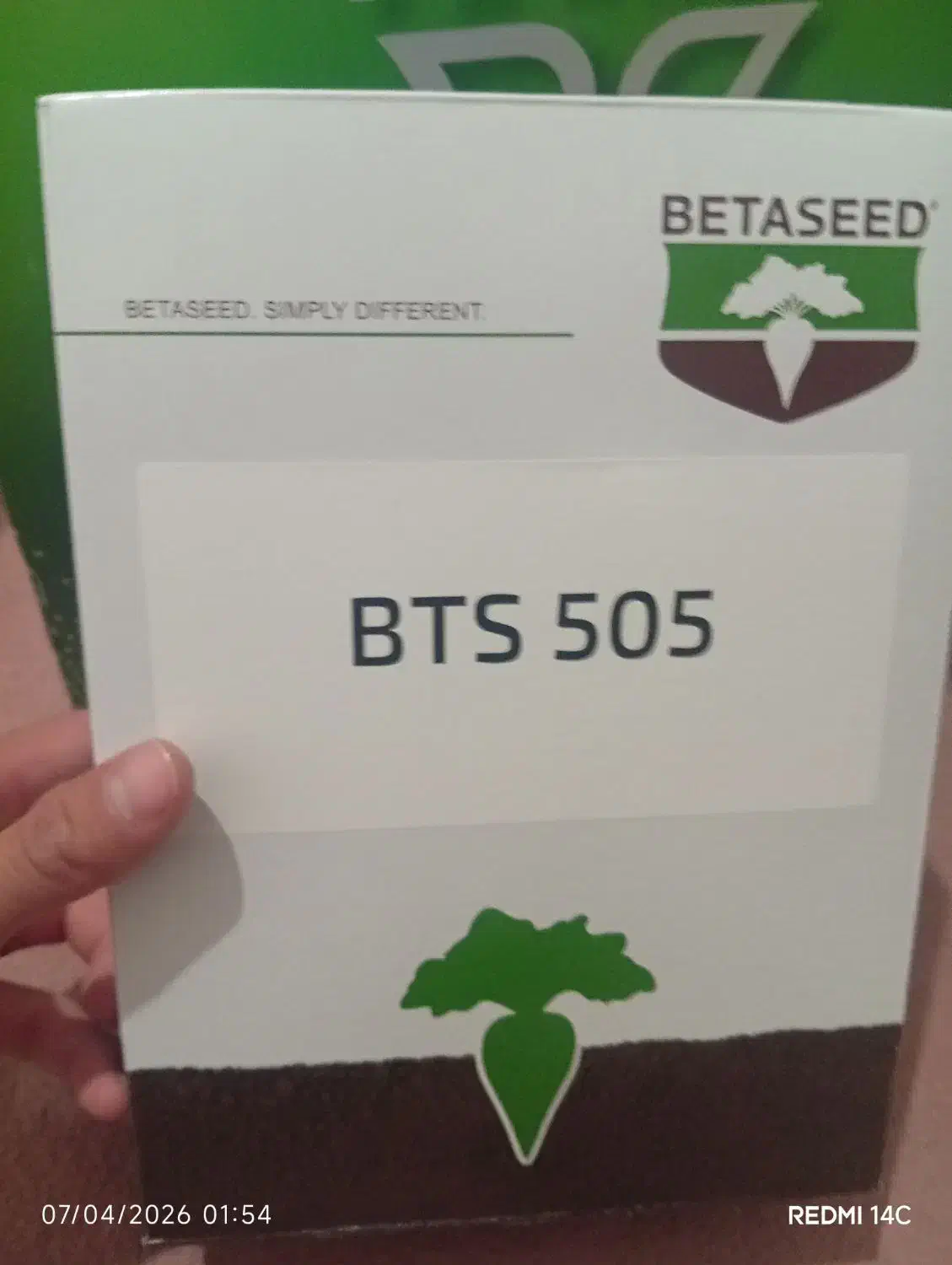 ***|گل و گیاه طبیعی|قلقل رود, |دیوار