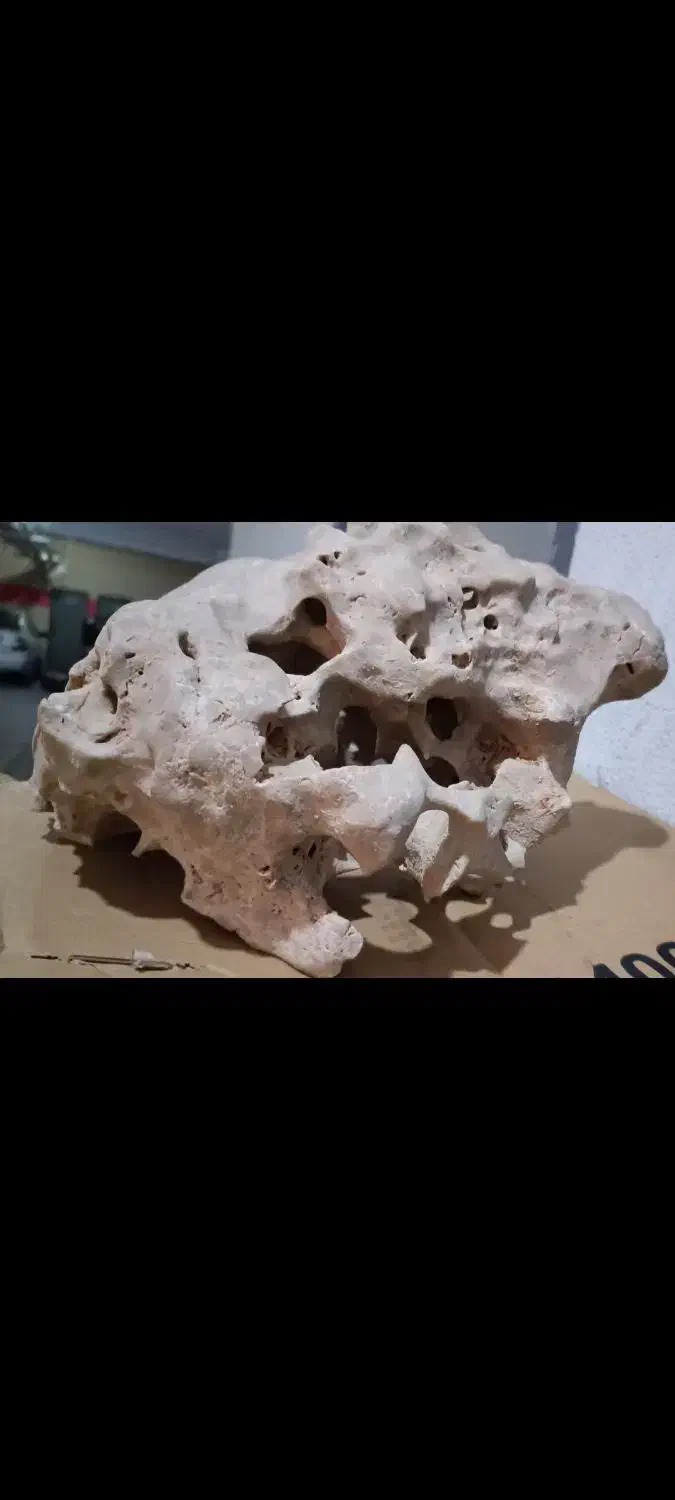 تزیینات آکواریم|ماهی|پاکدشت, پاکدشت (مامازند)|دیوار