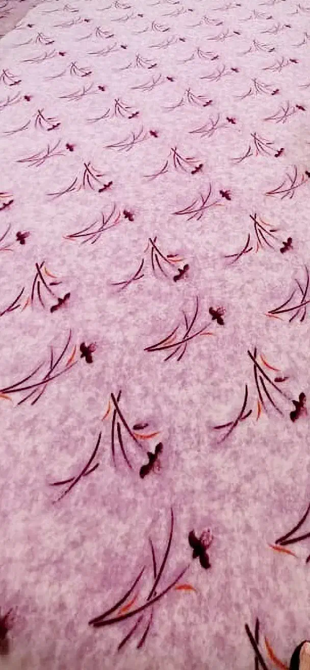 یک عدد گلیم فرش و یک عدد موکت|موکت|برازجان, |دیوار