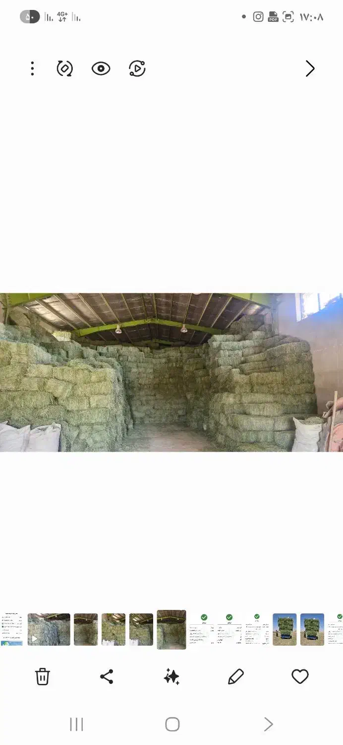 یونجه خشک انباری|حیوانات مزرعه|پیر سلیمان, |دیوار