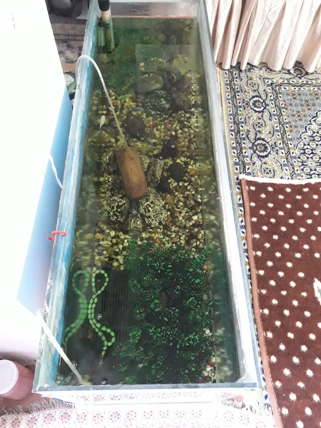 آکواریوم کامل خوشگل چنتا ماهی هم داخلشه سالم سالم|ماهی|خوی, |دیوار
