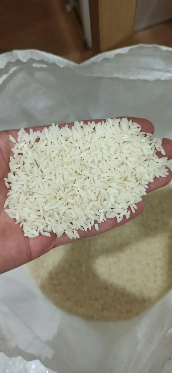 برنج|خوردنی و آشامیدنی|زنجان, |دیوار