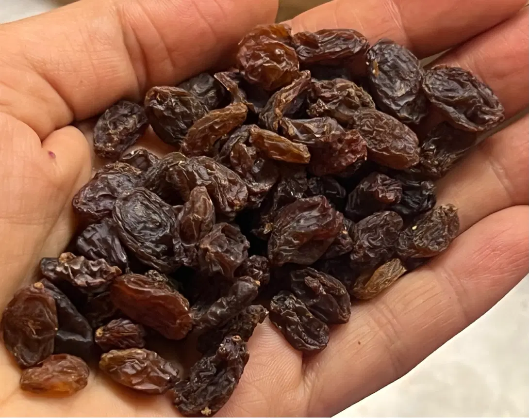 کشمش ارگانیک گوشتی بدون هسته تاکستان|خوردنی و آشامیدنی|تهران, ستارخان|دیوار