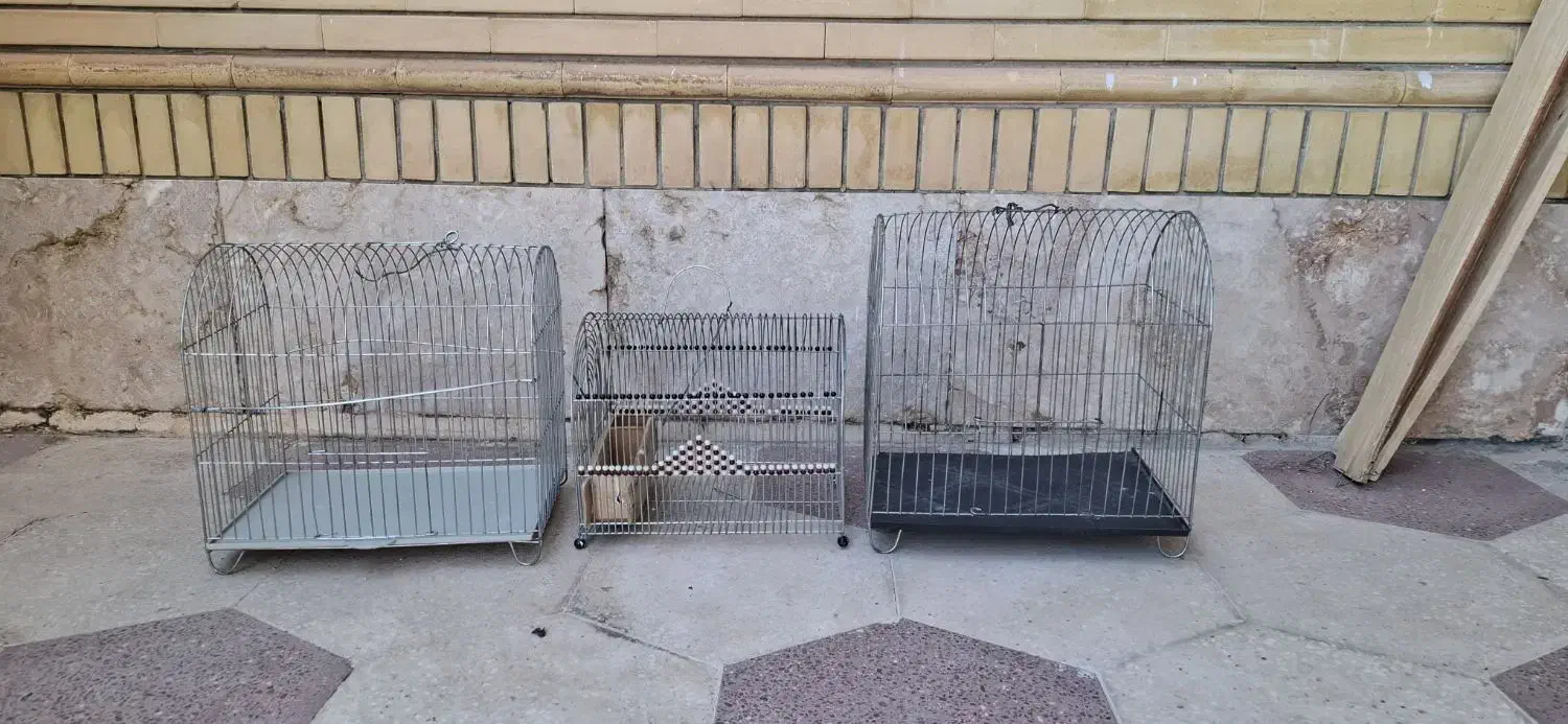 قفس سهره|لوازم جانبی حیوانات|شیراز, شهرک گلستان|دیوار