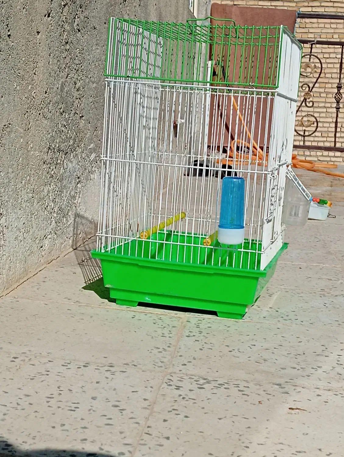 وسایل مورد نیاز طوطی|لوازم جانبی حیوانات|همدان, |دیوار