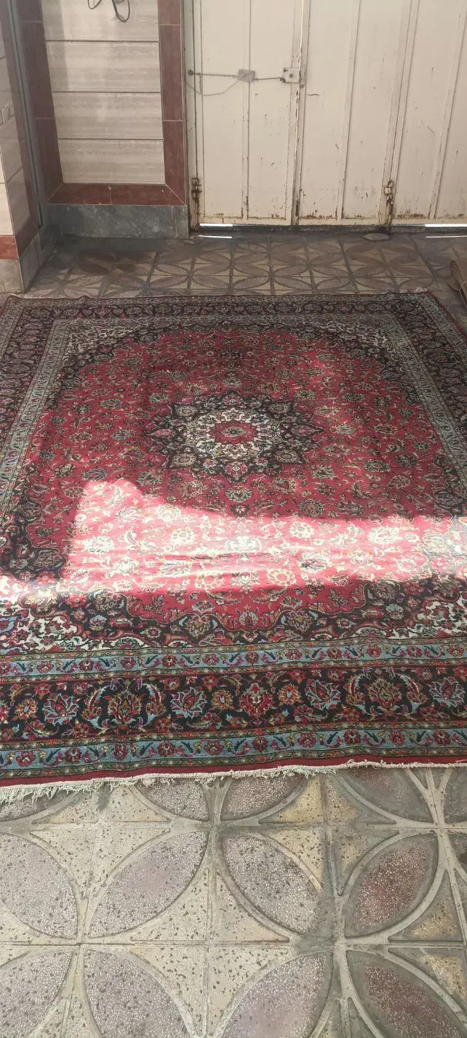 فرش|فرش|مرودشت, بیست متری بیمارستان|دیوار