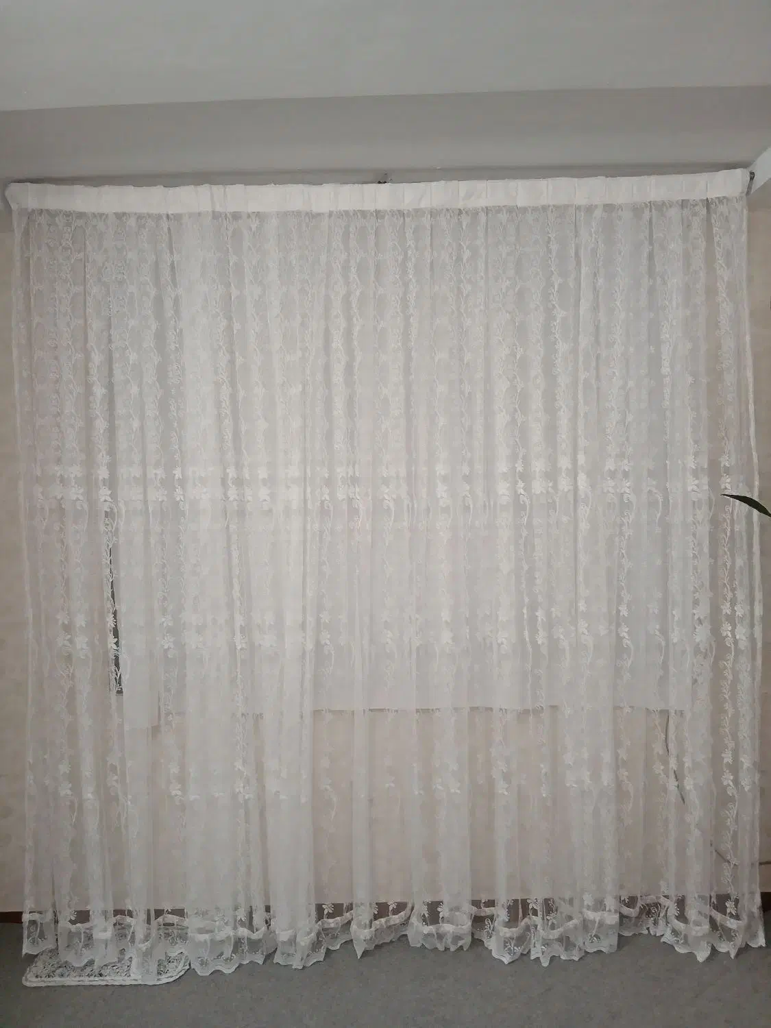 پرده توری|پرده، رانر، رومیزی|کرج, کمال‌شهر|دیوار