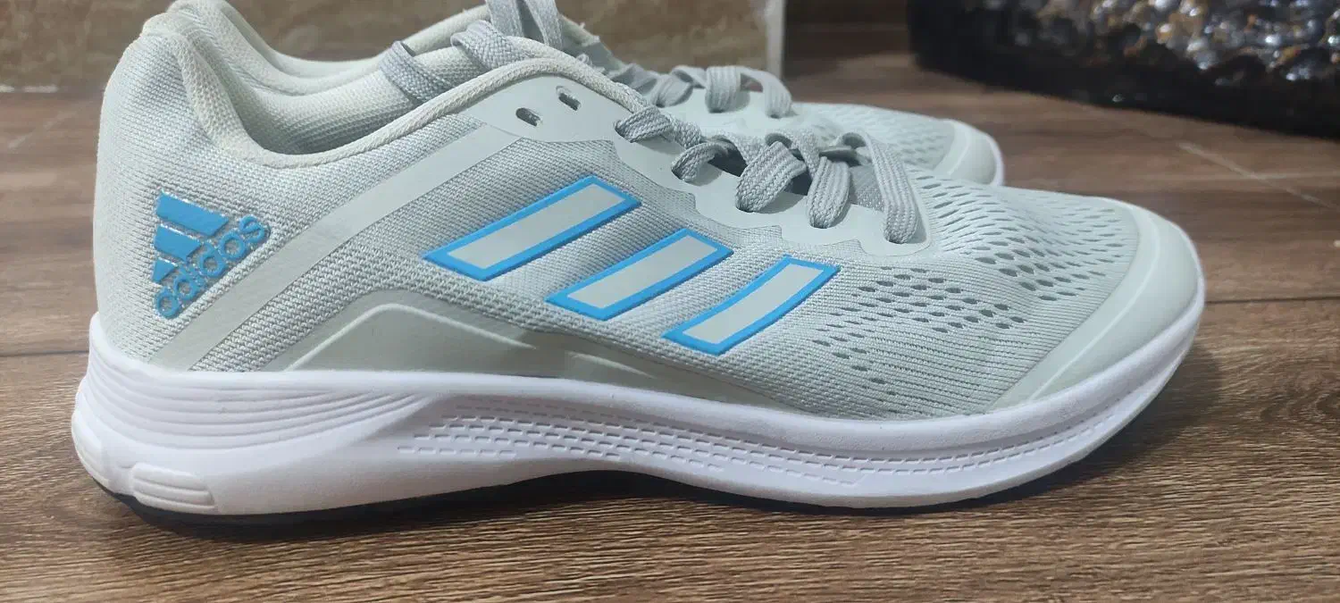 کفش نو خارجی|کیف، کفش، کمربند|سقز, |دیوار