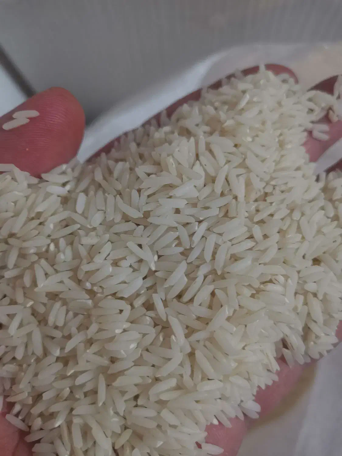 برنج درجه یک هاشمی شاهانه|خوردنی و آشامیدنی|کارون, |دیوار