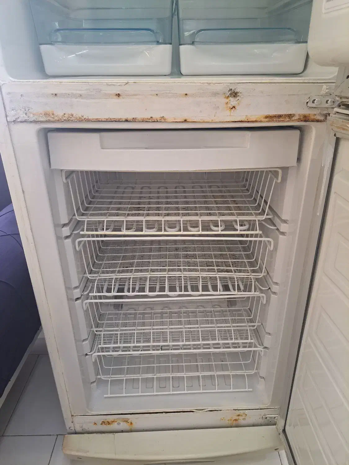 فروش یخچال فوری|یخچال و فریزر|رشت, باهنر|دیوار