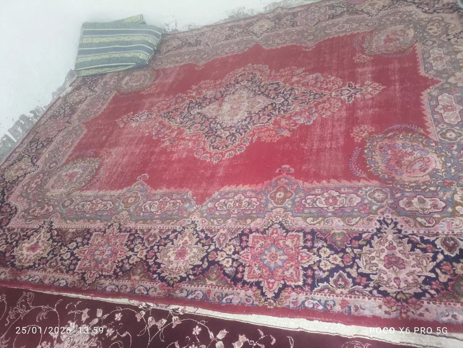 فروش قالی کرمان|فرش|بم, |دیوار