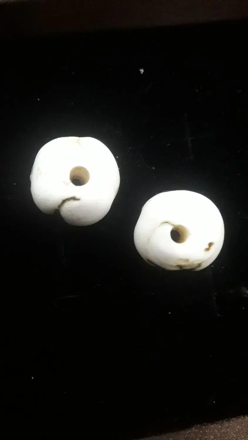 مهره عطف|کلکسیون اشیاء عتیقه|اهواز, کوروش|دیوار