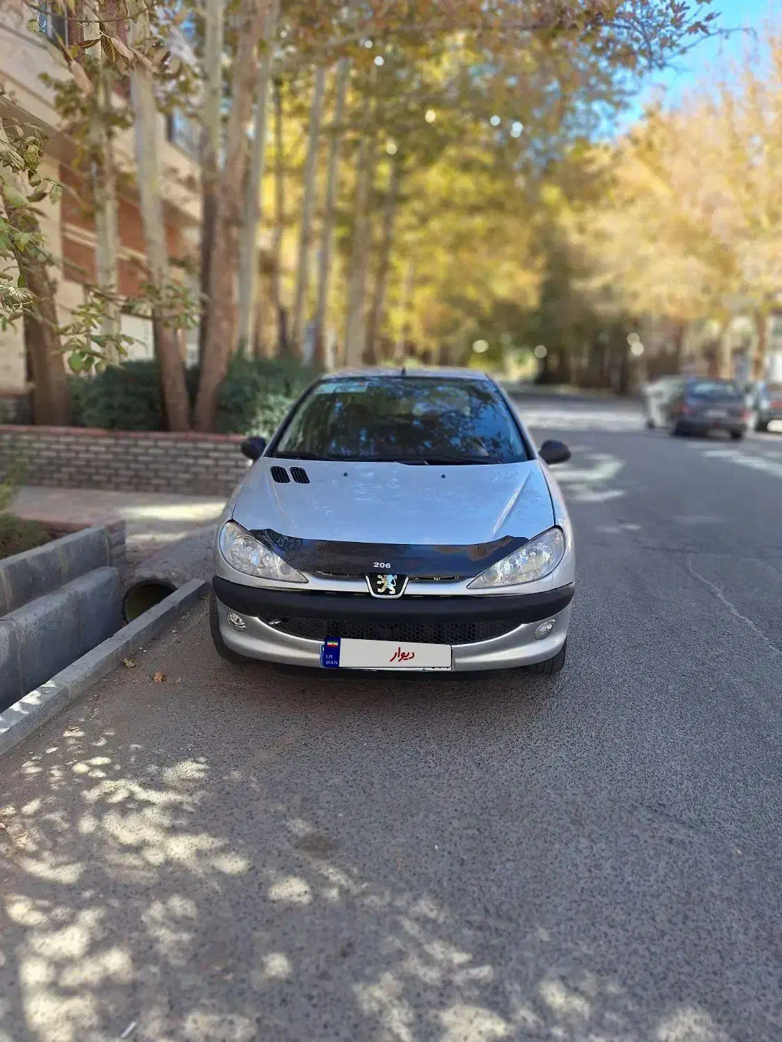 ۲۰۶ تیپ ۲ سالم|خودرو سواری و وانت|همدان, |دیوار