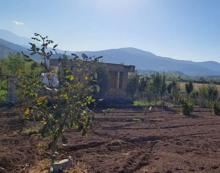 فروش زمین درییلاق خوش آب وهوای دودانگه علی آباد|فروش زمین و ملک کلنگی|فریم, |دیوار