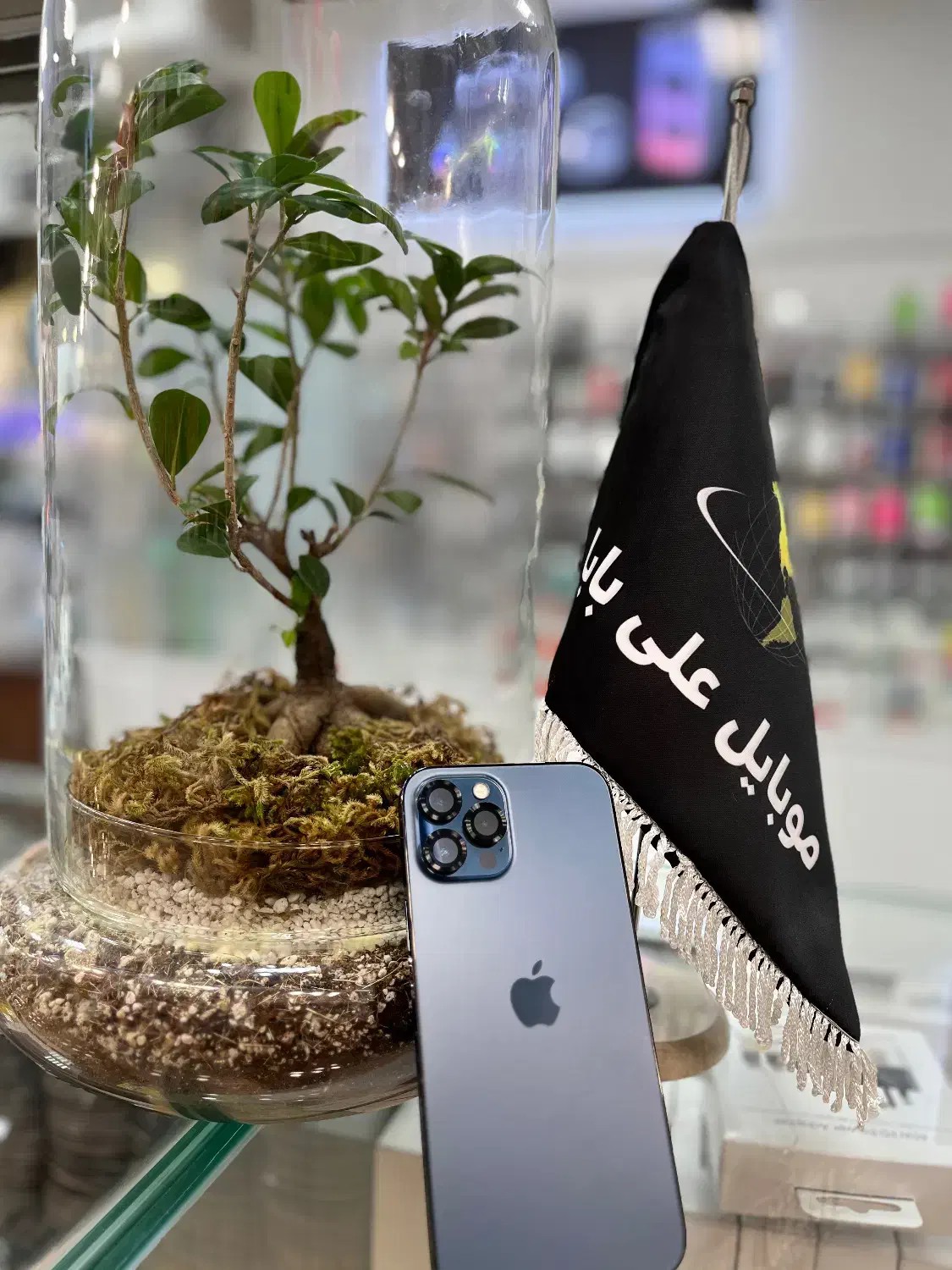 12pro max|موبایل|قم, چهل درخت|دیوار