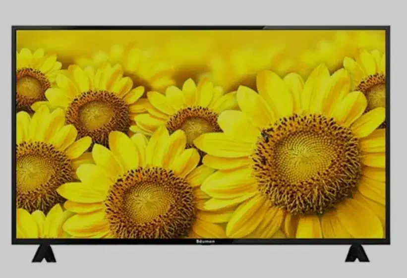 تلویزیون 42|تلویزیون و پروژکتور|ایرانشهر, |دیوار