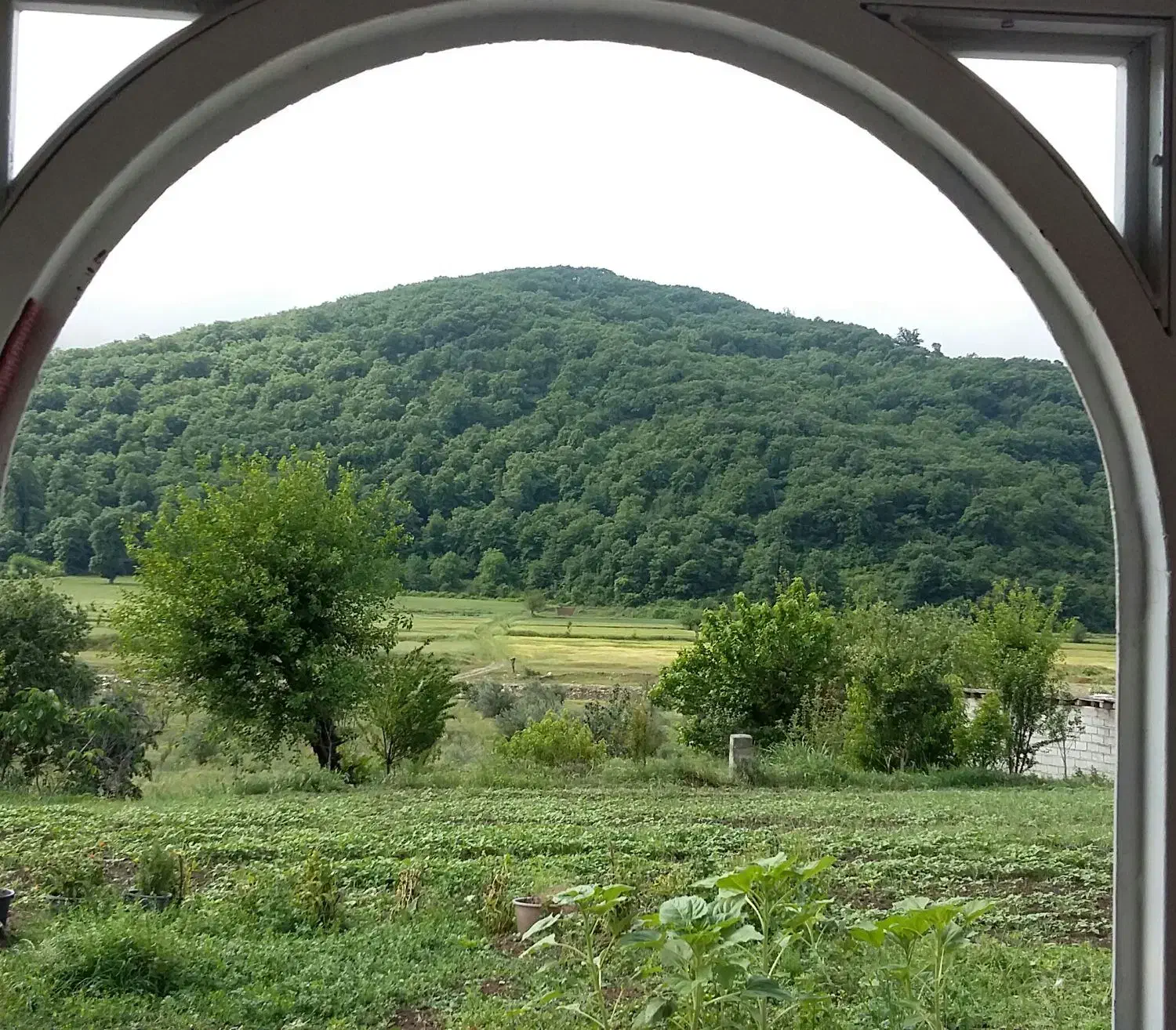 ویلا استخر دار تنگراه جنگل گلستان|اجارهٔ کوتاهمدت ویلا و باغ|گالیکش, |دیوار