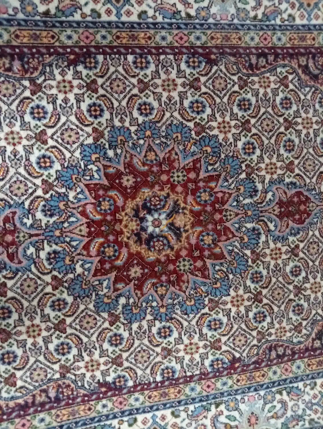 قلیچه|فرش|بیرجند, |دیوار