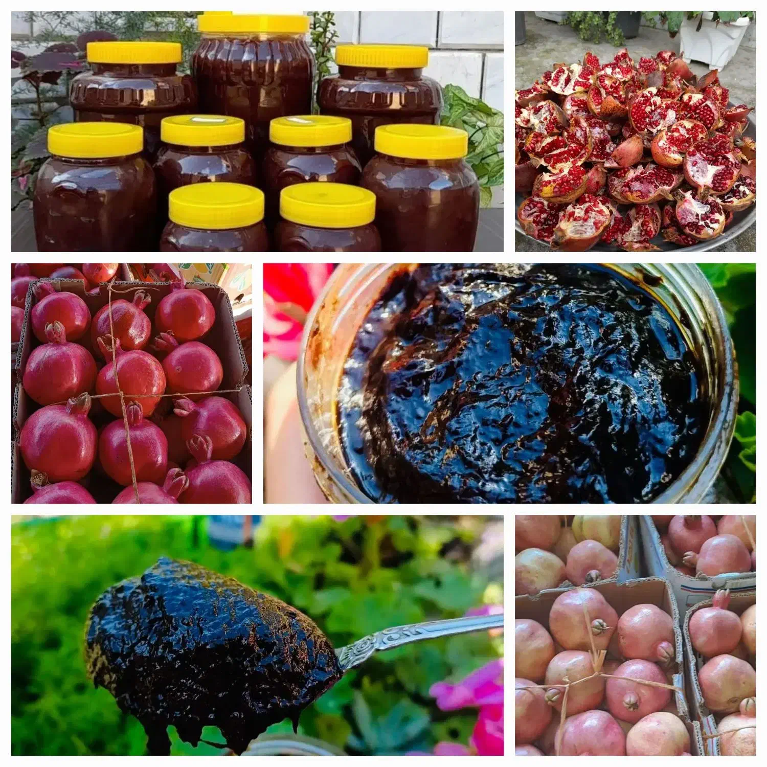 سیر ترشی|خوردنی و آشامیدنی|تهران, زعفرانیه|دیوار