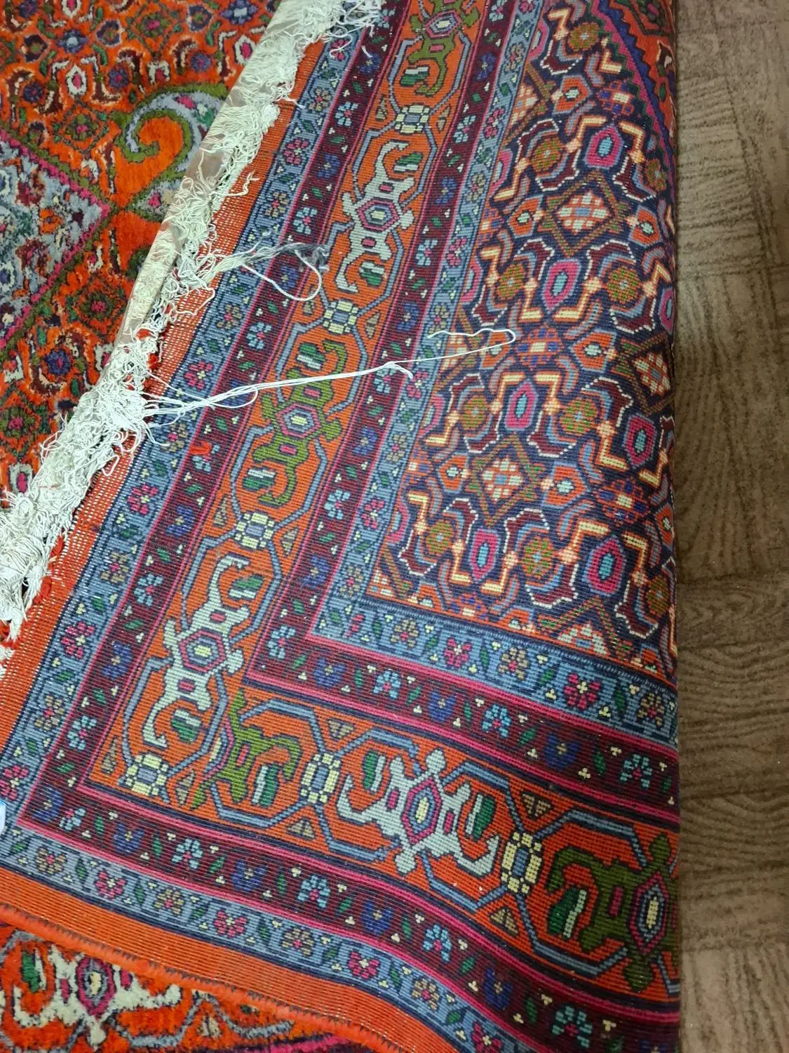 فرش دست بافت با قدمت 60ساله|فرش|سهند, |دیوار