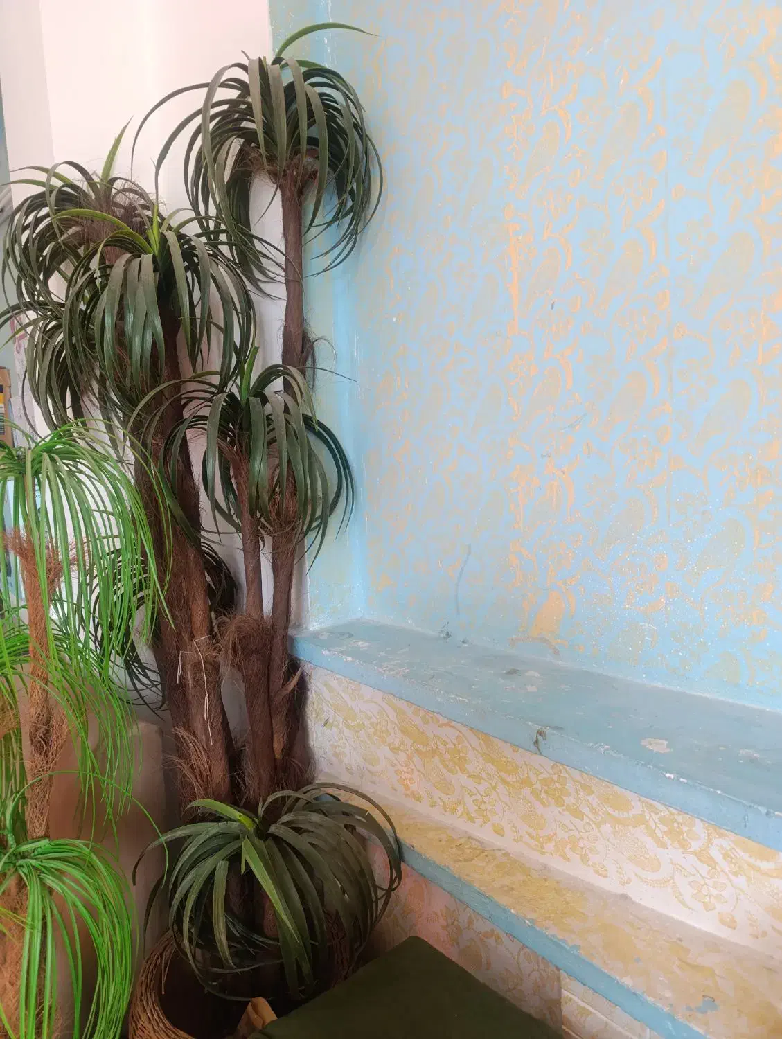 درختچه خارجی|گل مصنوعی|شیراز, زند|دیوار