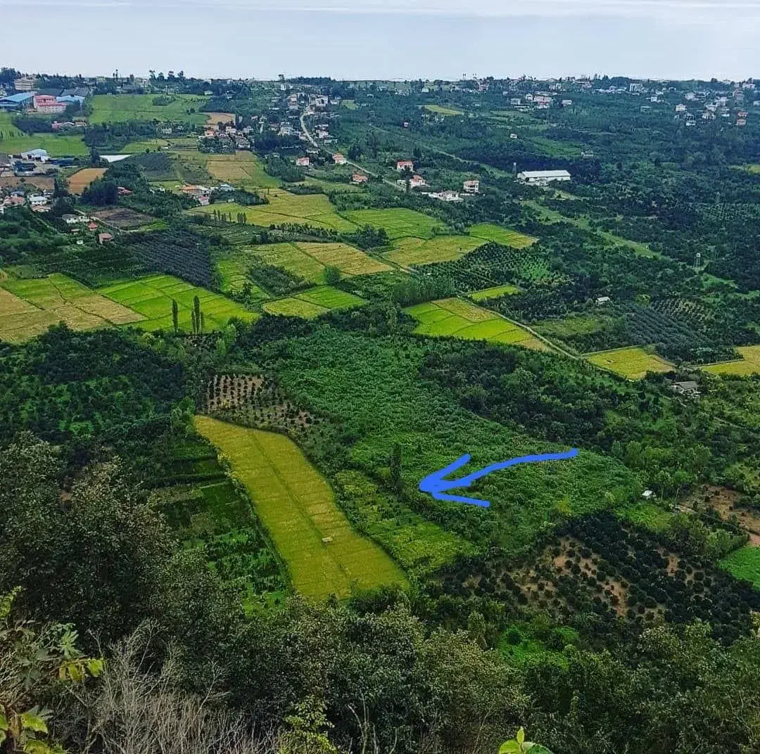 فروش زمین ۲۸۸متر سنددار رامسرکتالم|فروش زمین و ملک کلنگی|کتالم و سادات شهر, |دیوار