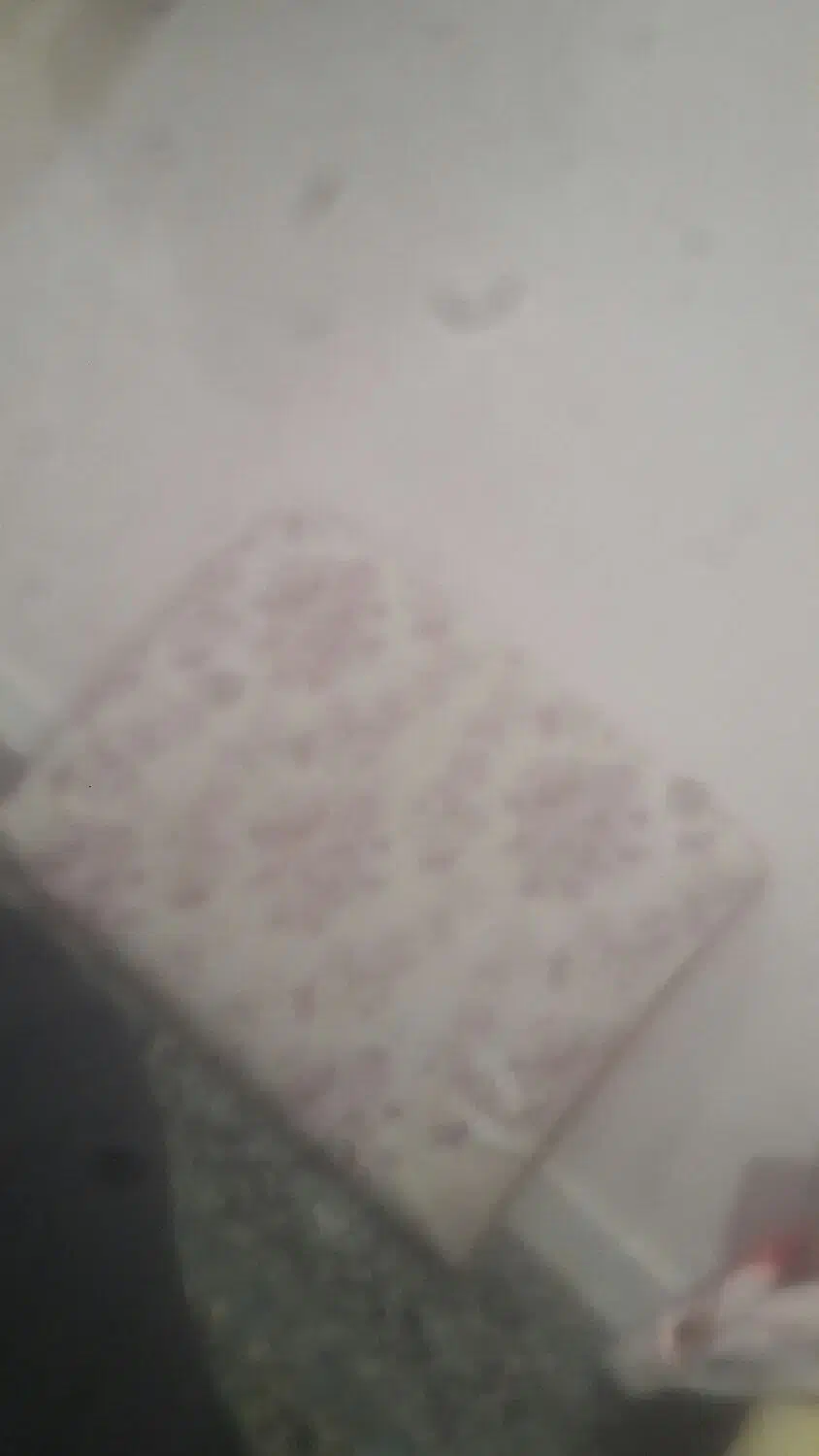 متکا|رختخواب، بالش، پتو|شهرکرد, |دیوار