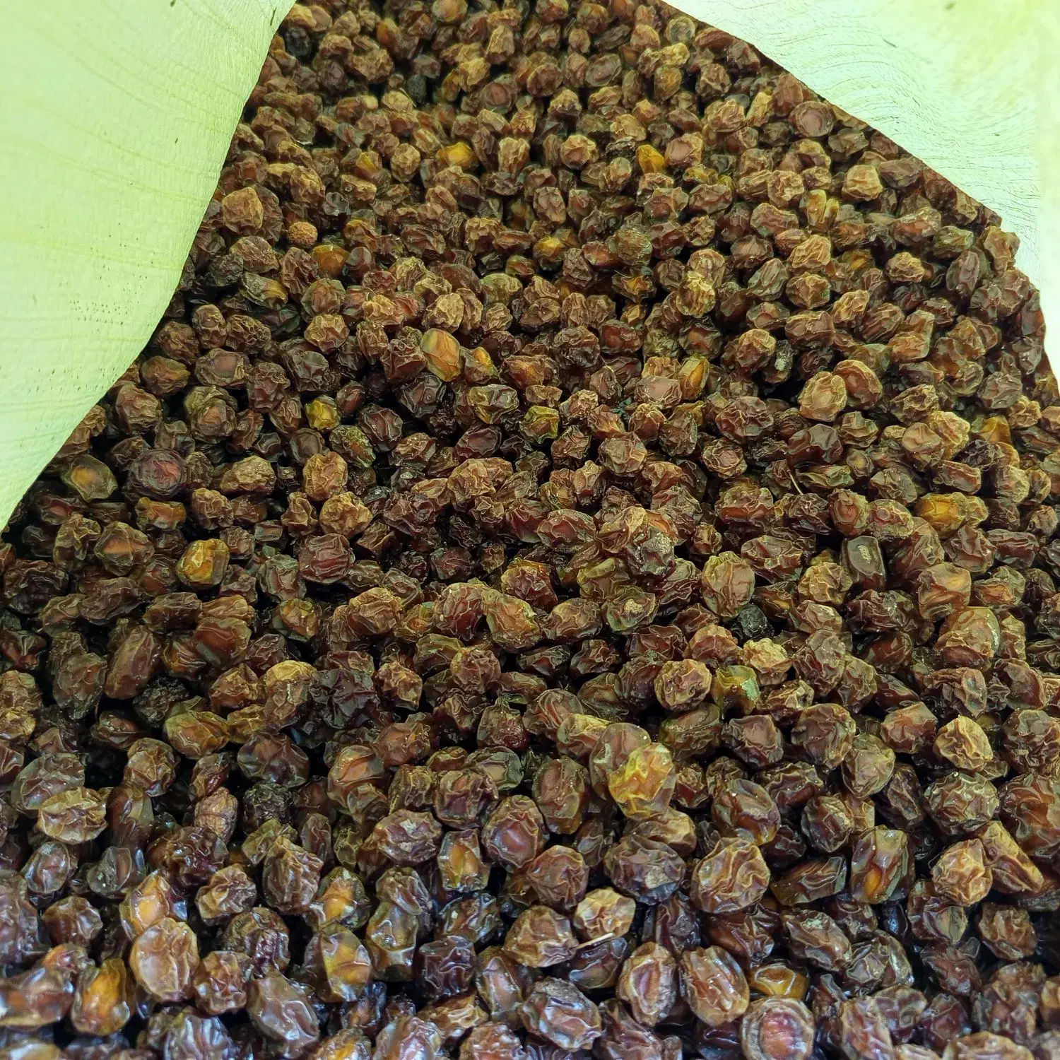 فروش برگ زردآلو وآلوچه|خوردنی و آشامیدنی|گلپایگان, |دیوار