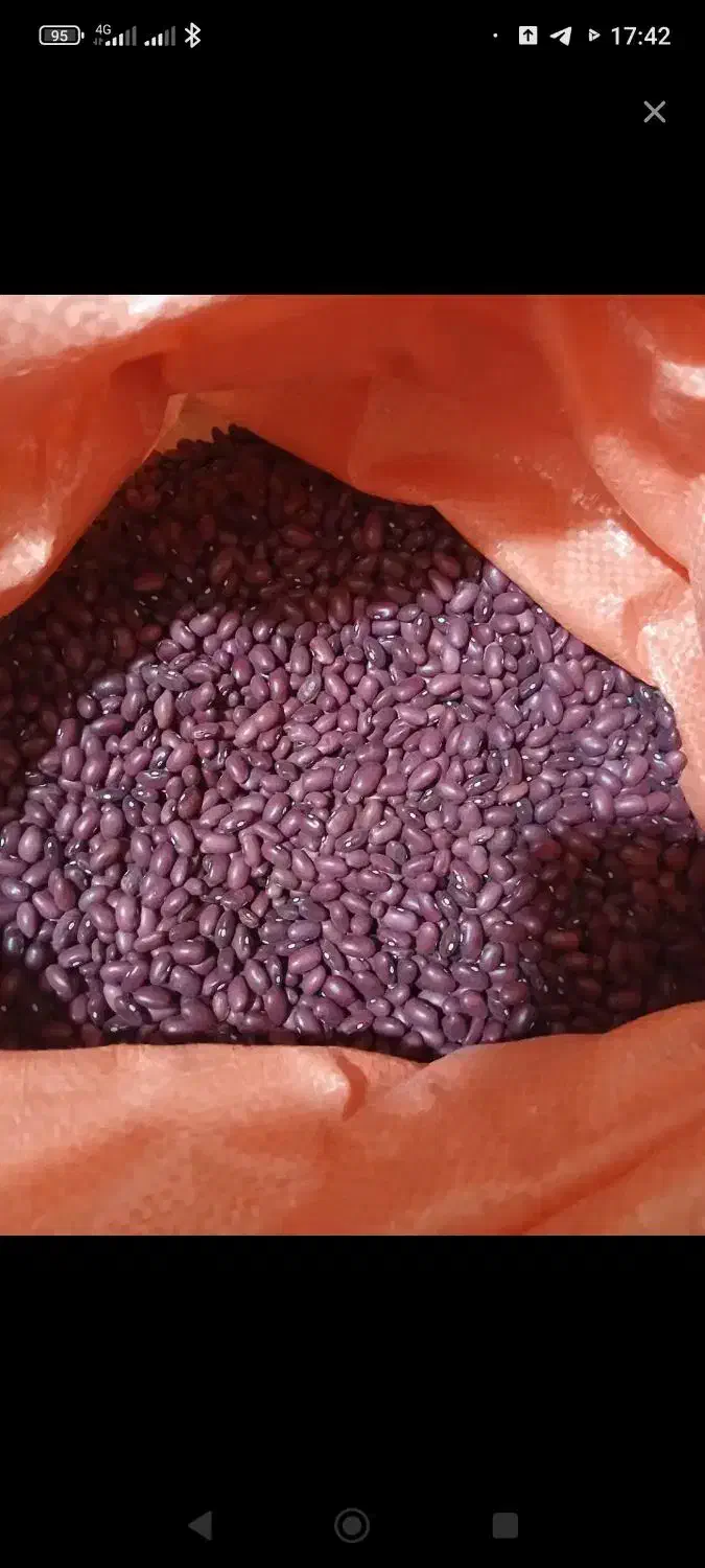 سلام خسته نباشی|خوردنی و آشامیدنی|دیواندره, |دیوار