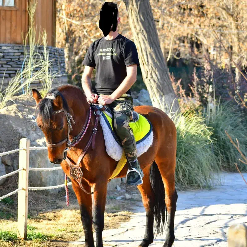 اسب سواری  عکاسی با اسب و محیط|اسب و تجهیزات اسب‌سواری|مشهد, کوه سنگی|دیوار