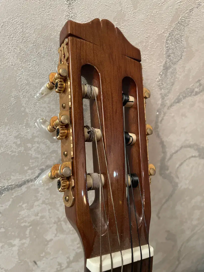 گیتار یاماها c70|گیتار، بیس، امپلیفایر|محمدشهر, همایون ویلا|دیوار