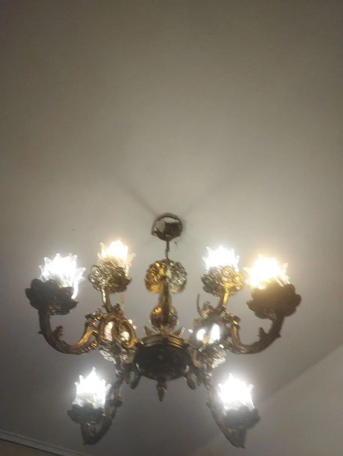 لوستر طلایی رنگ ۴عدد|لوستر و چراغ آویز|تبریز, |دیوار