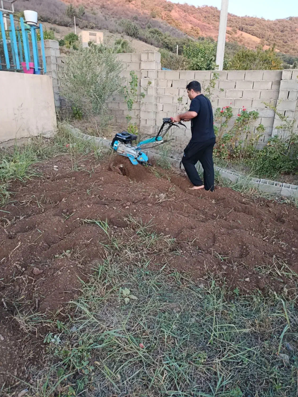 شخم زمین های باغی وکوچک باکولتیواتور|خدمات باغبانی و درختکاری|مینودشت, |دیوار