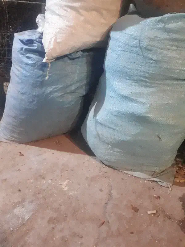 ۱۰کیسه کودکبوتر|خدمات باغبانی و درختکاری|رفسنجان, |دیوار