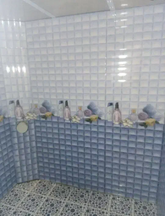 کاشی‌کاری وسرامیک کاری|خدمات پیشه و مهارت|زابل, |دیوار