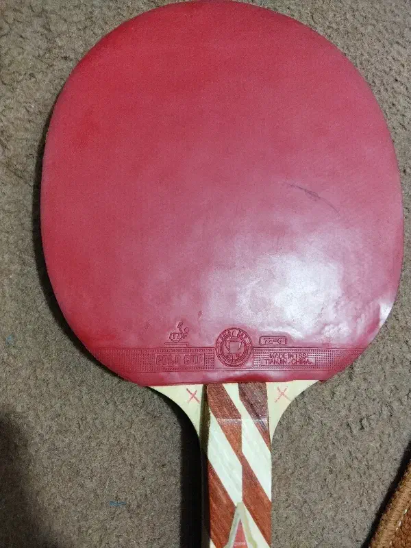 راکت پینگ پنگ|ورزش‌های توپی|قم, نیروگاه|دیوار